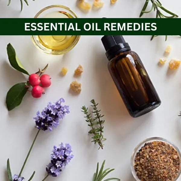 Essential Oils guide cover