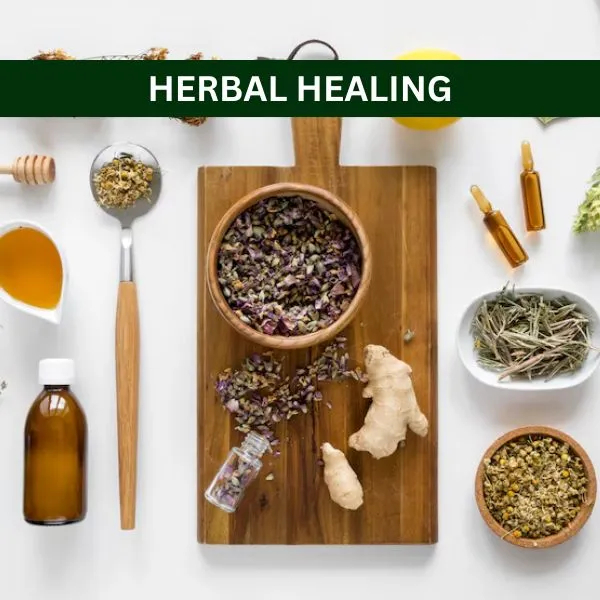 Herbal Healing guide cover